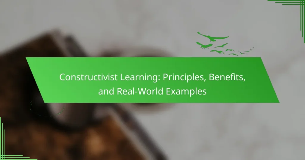 Constructivist Learning: Principles, Benefits, and Real-World Examples