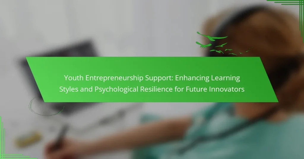 Youth Entrepreneurship Support: Enhancing Learning Styles and Psychological Resilience for Future Innovators