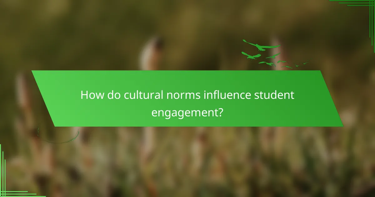 How do cultural norms influence student engagement?