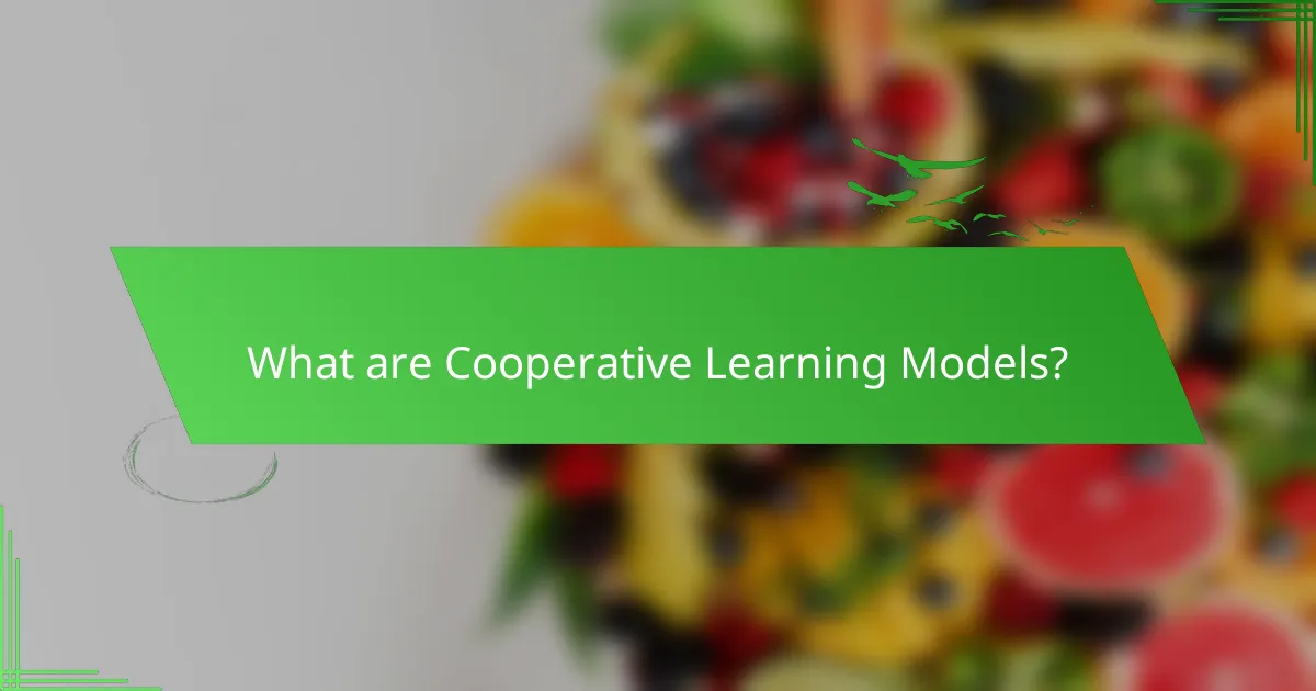 What are Cooperative Learning Models?