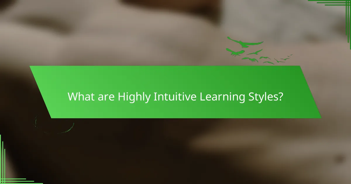 What are Highly Intuitive Learning Styles?