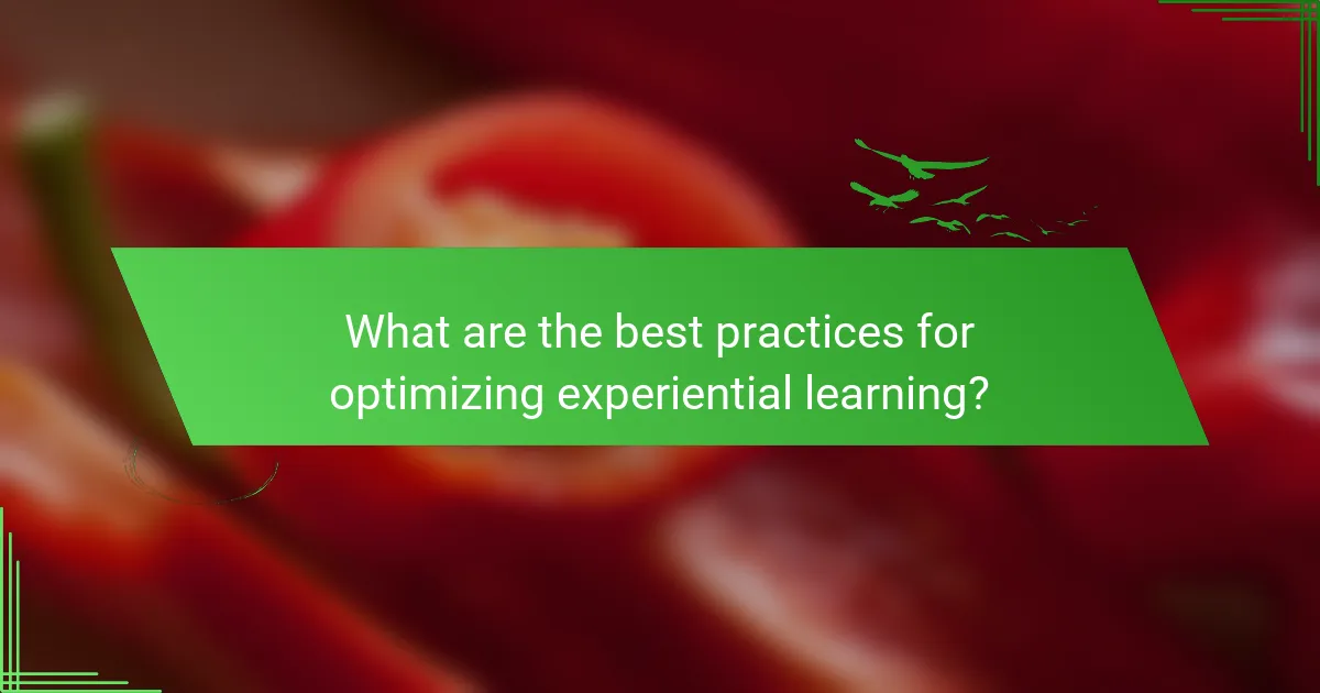 What are the best practices for optimizing experiential learning?