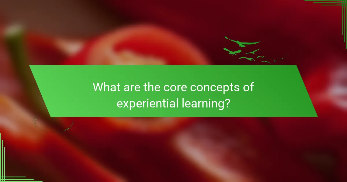 What are the core concepts of experiential learning?