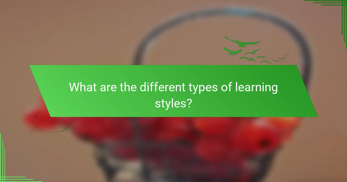 What are the different types of learning styles?