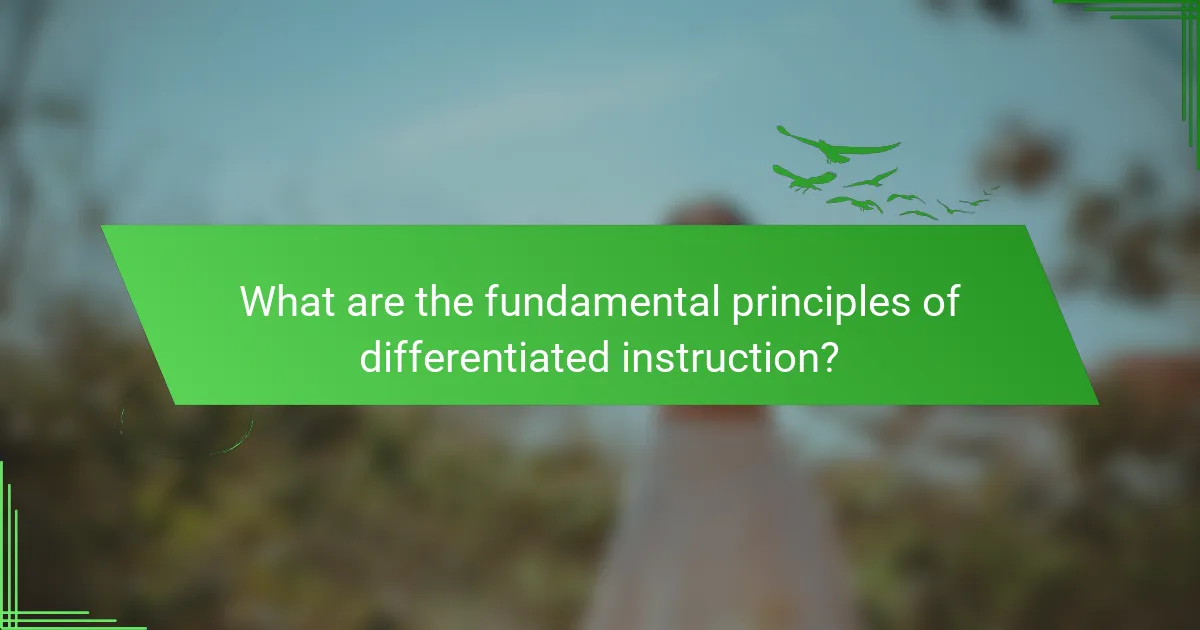 What are the fundamental principles of differentiated instruction?