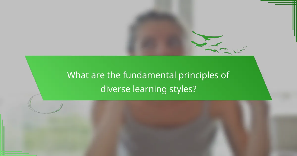 What are the fundamental principles of diverse learning styles?