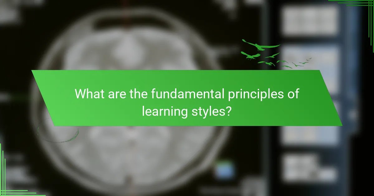 What are the fundamental principles of learning styles?