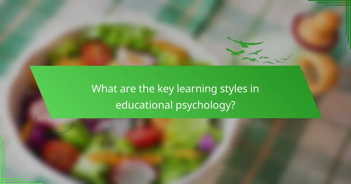 What are the key learning styles in educational psychology?