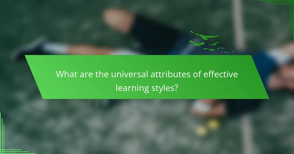 What are the universal attributes of effective learning styles?