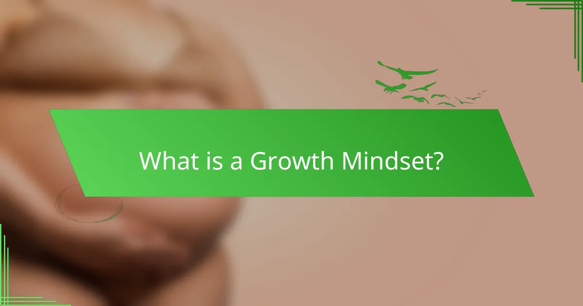 What is a Growth Mindset?