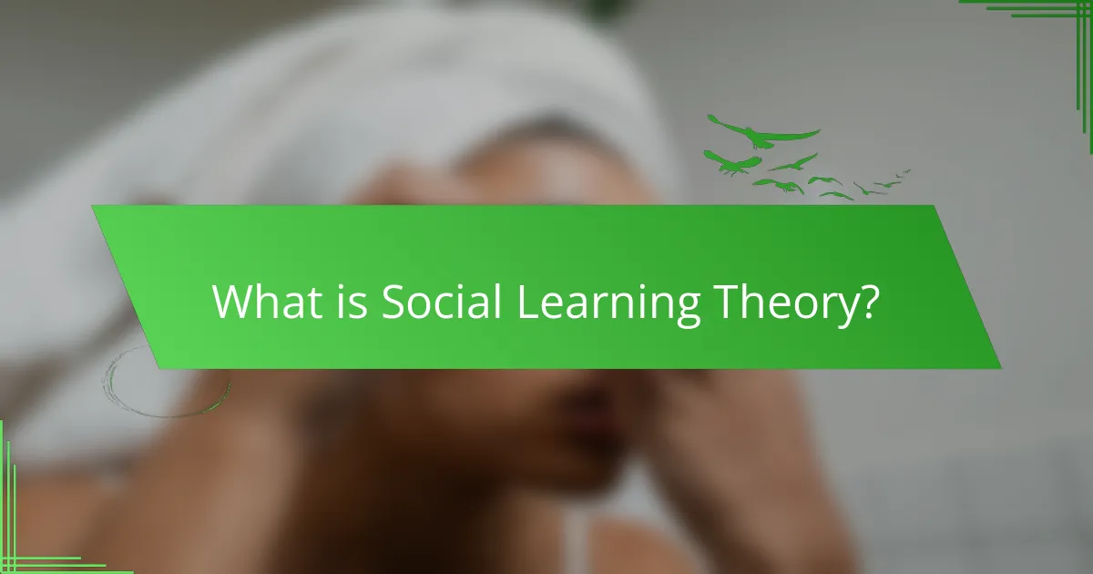 What is Social Learning Theory?
