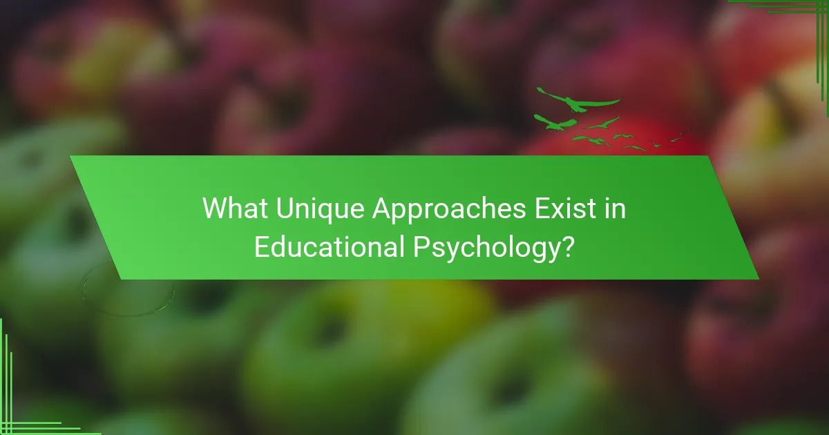 What Unique Approaches Exist in Educational Psychology?